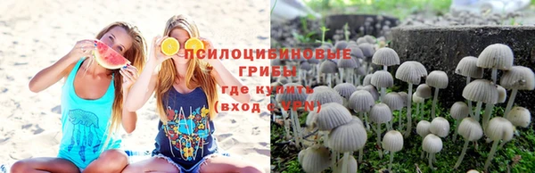 индика Алексеевка