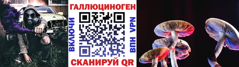 цена   Приволжский  Псилоцибиновые грибы GOLDEN TEACHER 